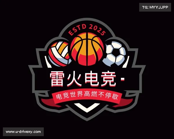 介绍雷火电竞 - 电竞世界高燃不停歇
